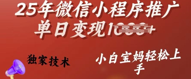 25年微信小程序推广单日变现多张，独家技术，小白宝妈轻松上手【揭秘】-大熊网创