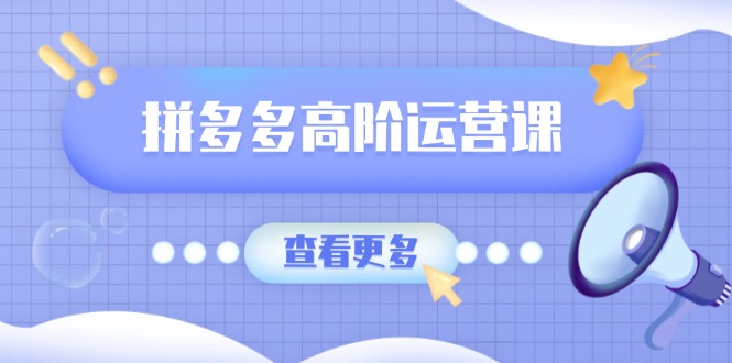 拼多多高阶运营课：极致群爆款玩法，轻付费无尽复制，打造单品爆款之路-大熊网创