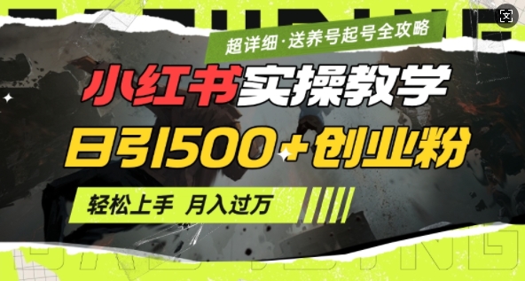 2月小红书最新日引500+创业粉实操教学【超详细】小白轻松上手，月入1W+，附小红书养号起号SOP-大熊网创