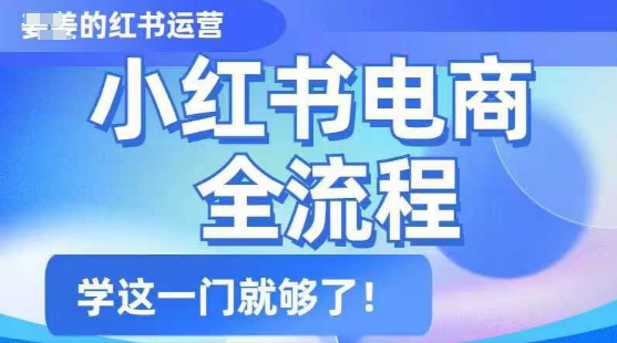 小红书电商全流程，精简易懂，从入门到精通，学这一门就够了-大熊网创