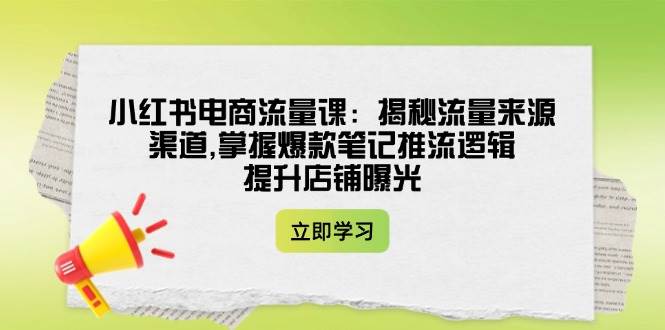小红书电商流量课：揭秘流量来源渠道,掌握爆款笔记推流逻辑,提升店铺曝光-大熊网创