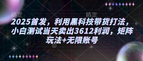 2025首发，利用黑科技带货打法，小白测试当天卖出3612利润，矩阵玩法+无限账号【揭秘】-大熊网创