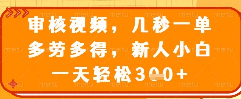 审核视频，几秒一单，多劳多得，新人小白一天轻松3张【揭秘】-大熊网创
