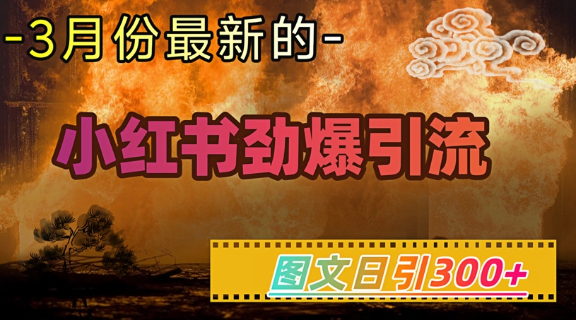 小红书超劲爆引流手段，图文日引300+轻松变现1W-大熊网创