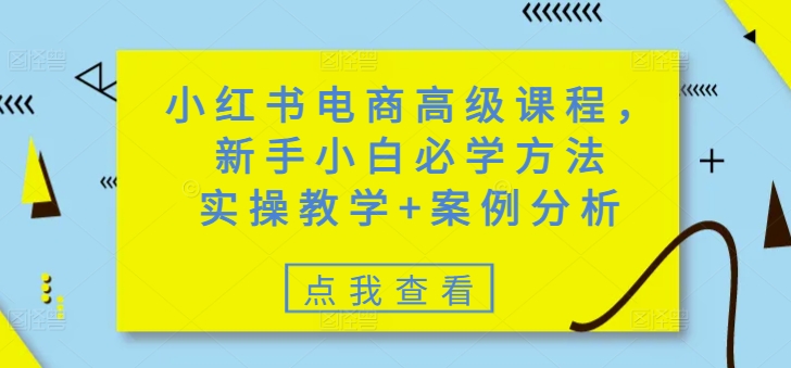 小红书电商高级课程，新手小白必学方法，实操教学+案例分析-大熊网创
