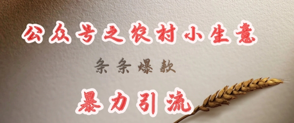 deepseek写农村小项目，条条爆款，暴力引流-大熊网创