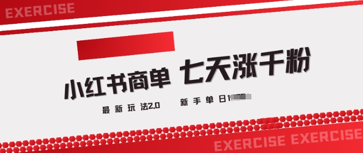 小红书商单2.0最新玩法，3天涨千粉单日变现多张-大熊网创