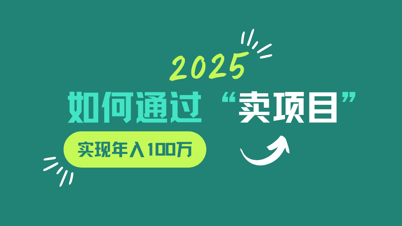 2025年如何通过“卖项目”实现年入100w-网创星球