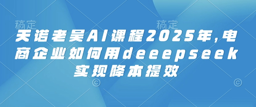 天诺老吴AI课程2025年，电商企业如何用deeepseek实现降本提效-网创星球