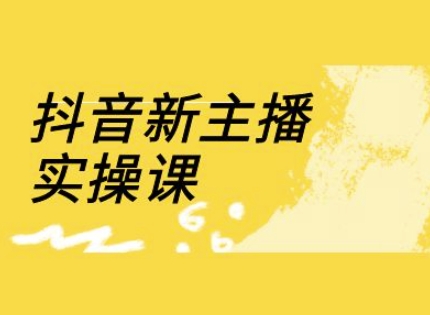 抖音新主播实操课，直播间流量运营线上实操课(18节)-大熊网创