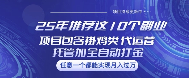 25年推荐这10个副业项目包含褂鸡类、代运营托管类、全自动打金类【揭秘】-大熊网创
