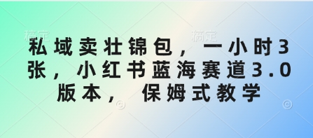 私域卖壮锦包，一小时3张，小红书蓝海赛道3.0版本， 保姆式教学-网创星球