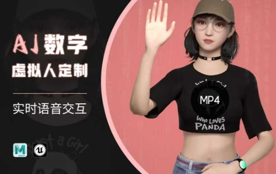 Ai数字人虚拟(智能体)实时语音交互特训营，​自行定制超写实角色AI数字人交互技术-大熊网创