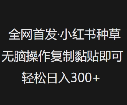全网首发，小红书种草无脑操作，复制黏贴即可，轻松日入3张-大熊网创