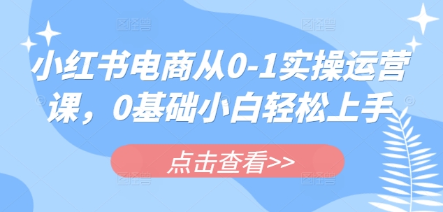 小红书电商从0-1实操运营课，0基础小白轻松上手-大熊网创