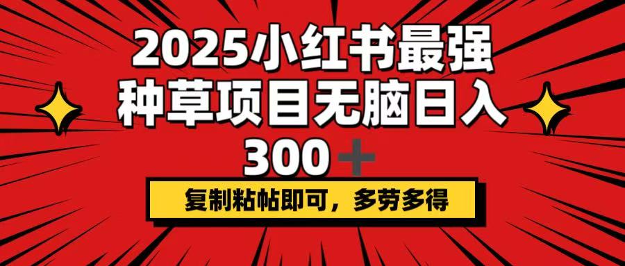 2025小红书最强种草项目，无脑日入300+，复制粘帖即可，多劳多得-大熊网创