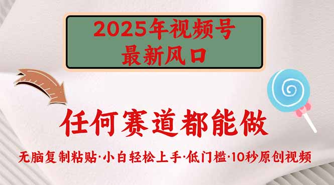 2025年视频号新风口，低门槛只需要无脑执行-大熊网创