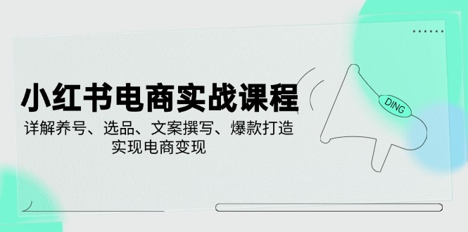 小红书电商实战课程，详解养号、选品、文案撰写、爆款打造，实现电商变现-大熊网创