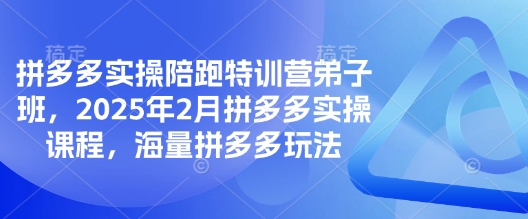 拼多多实操陪跑特训营弟子班，2025年2月拼多多实操课程，海量拼多多玩法-大熊网创