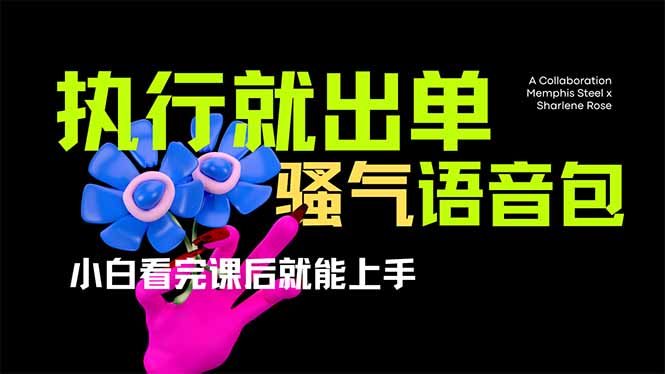 爆火全网的开车导航骚气语音包,只要执行就出单，小白看完课程就能实操…-网创星球