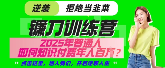 【网创项目终点站-镰刀训练营超级IP合伙人】25年普通人如何通过知识付费实现逆袭【揭秘】-大熊网创