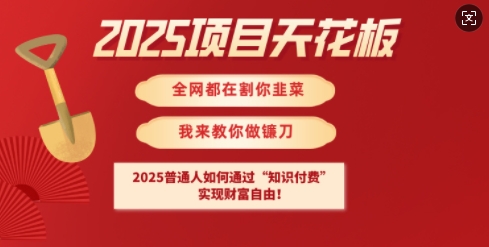 2025项目天花板普通人如何通过知识付费，实现财F自由【揭秘】-大熊网创