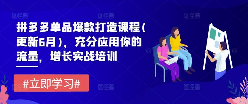 拼多多单品爆款打造课程(更新6月)，充分应用你的流量，增长实战培训-大熊网创