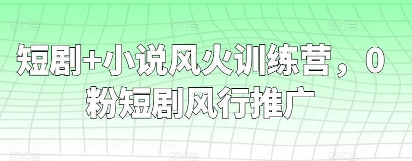 短剧+小说风火训练营，0粉短剧风行推广-大熊网创