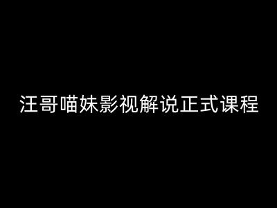 汪哥影视解说正式课程：剪映/PR教学/视解说剪辑5大黄金法则/全流程剪辑7把利器等等-大熊网创