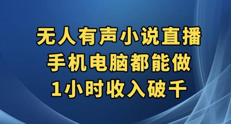 抖音无人有声小说直播，手机电脑都能做，1小时收入破千【揭秘】-大熊网创