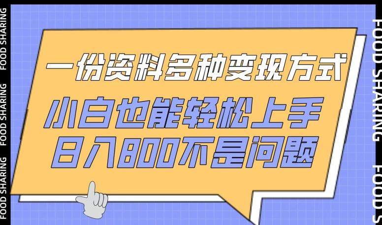 一份资料多种变现方式，小白也能轻松上手，日入800不是问题【揭秘】-大熊网创