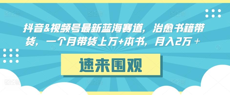 抖音&视频号最新蓝海赛道，治愈书籍带货，一个月带货上万+本书，月入2万＋【揭秘】-大熊网创