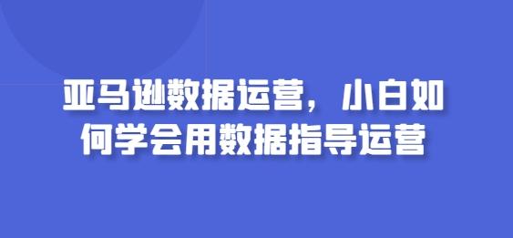 亚马逊数据运营，小白如何学会用数据指导运营-大熊网创