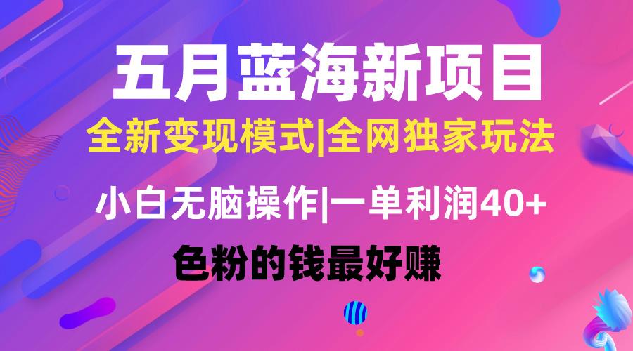 五月蓝海项目全新玩法，小白无脑操作，一天几分钟，矩阵操作，月入4万+-网创星球
