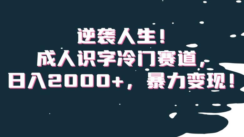 逆袭人生！成人识字冷门赛道，日入2000+，暴力变现！【揭秘】-大熊网创