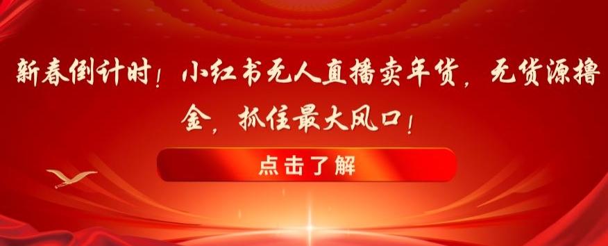 新春倒计时！小红书无人直播卖年货，无货源撸金，抓住最大风口【揭秘】-大熊网创