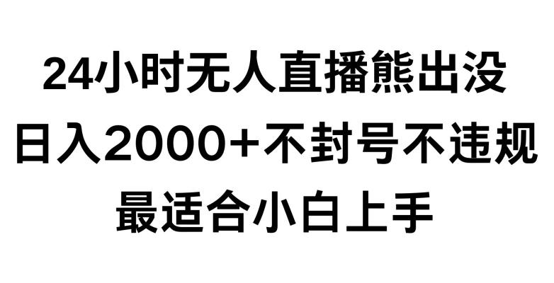快手24小时无人直播熊出没，不封直播间，不违规，日入2000+，最适合小白上手，保姆式教学【揭秘】-大熊网创