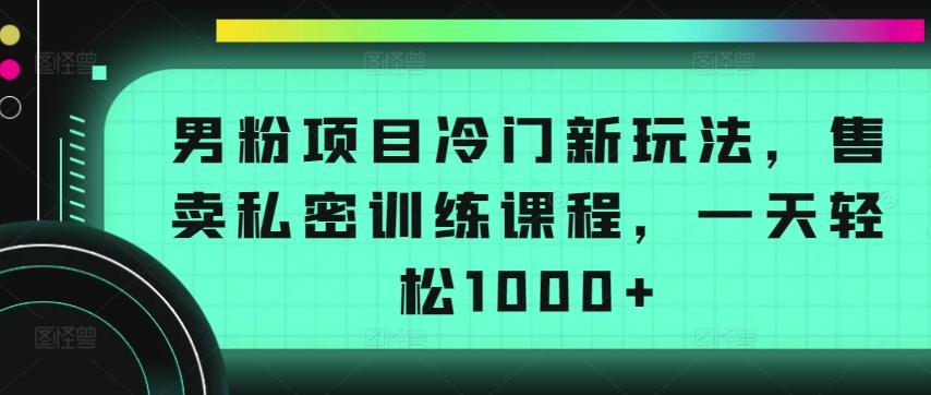 男粉项目冷门新玩法，售卖私密训练课程，一天轻松1000+【揭秘】-大熊网创