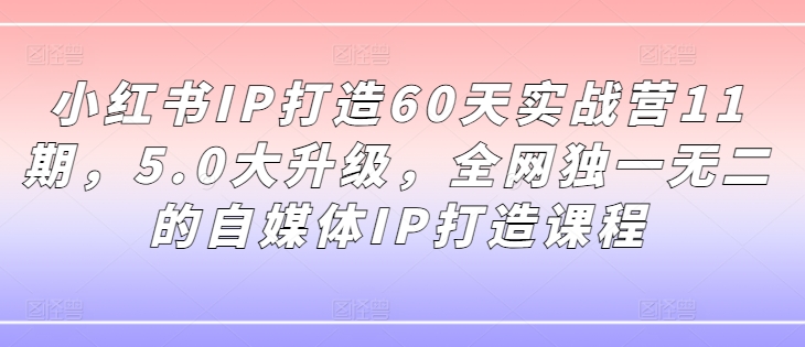 小红书IP打造60天实战营11期，5.0大升级，全网独一无二的自媒体IP打造课程-大熊网创
