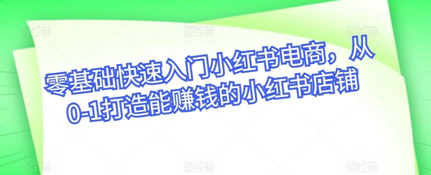 零基础快速入门小红书电商，从0-1打造能赚钱的小红书店铺-大熊网创