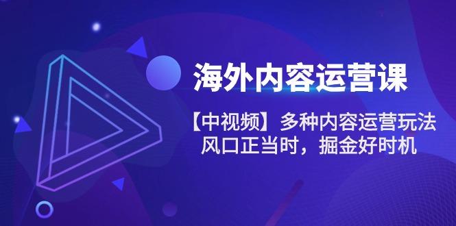 海外内容 运营课【中视频】多种内容运营玩法 风口正当时 掘金好时机-101节-大熊网创