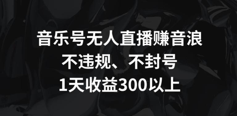 音乐号无人直播赚音浪，不违规、不封号，1天收益300+【揭秘】-大熊网创