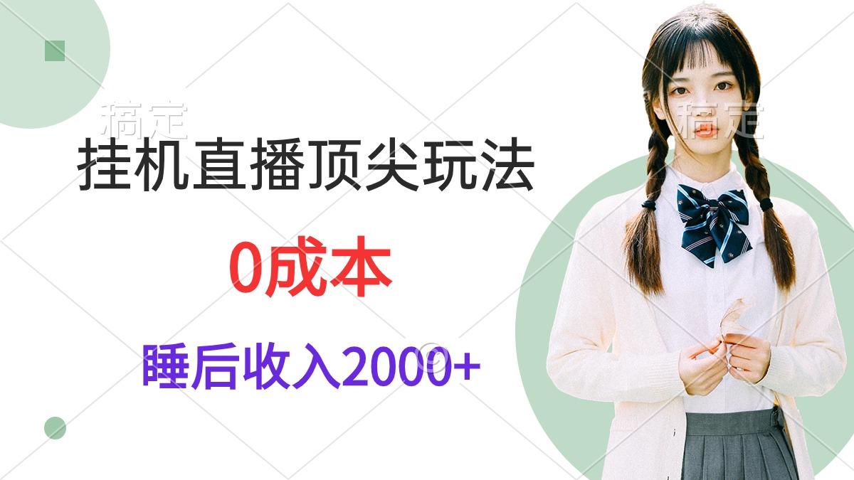 (9715期)挂机直播顶尖玩法，睡后日收入2000+、0成本，视频教学-大熊网创
