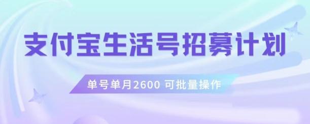 支付宝生活号作者招募计划，单号单月2600，可批量去做，工作室一人一个月轻松1w+【揭秘】-大熊网创
