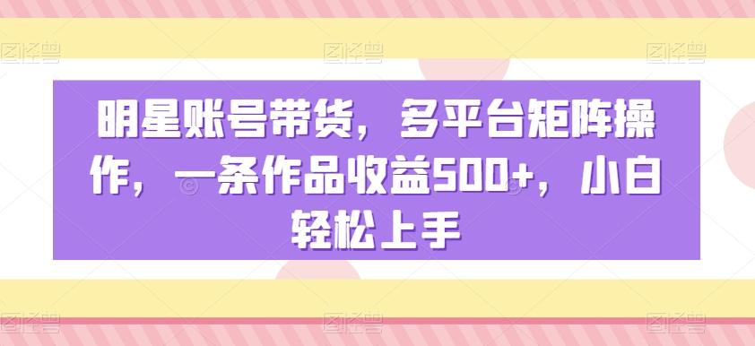 明星账号带货，多平台矩阵操作，一条作品收益500+，小白轻松上手【揭秘】-大熊网创