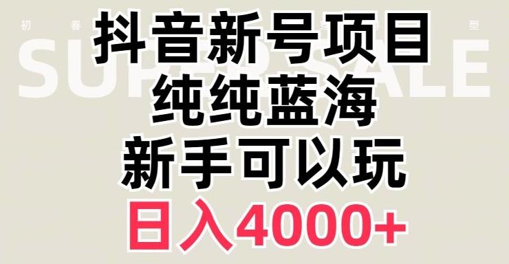 抖音蓝海赛道，必须是新账号，日入4000+【揭秘】-大熊网创