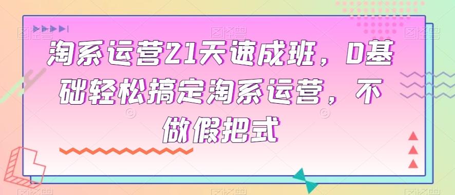 淘系运营21天速成班，0基础轻松搞定淘系运营，不做假把式-大熊网创