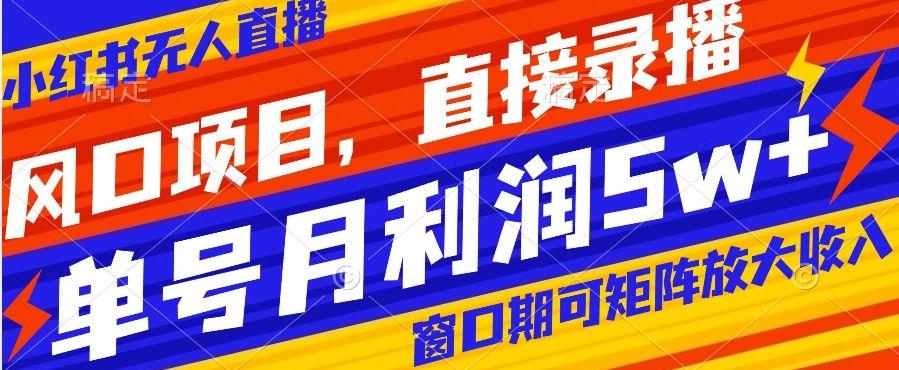 风口项目，小红书无人直播带货，直接录播，可矩阵，月入5w+【揭秘】-大熊网创