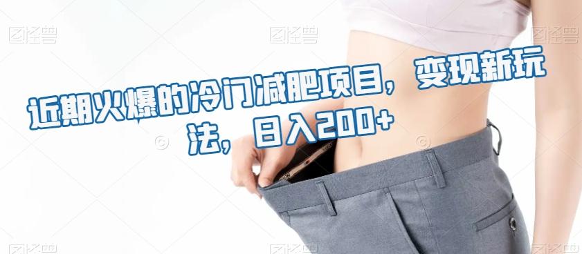 近期火爆的冷门减肥项目，变现新玩法，日入200+-大熊网创