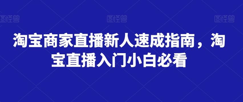 淘宝商家直播新人速成指南，淘宝直播入门小白必看-大熊网创